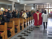 palma-18.jpg