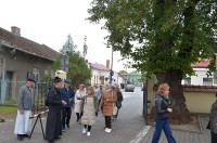 roza_17.jpg